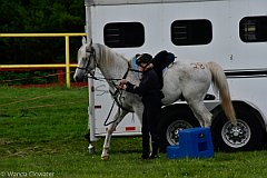 HAM_6646