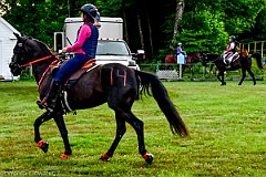 HAM_6676