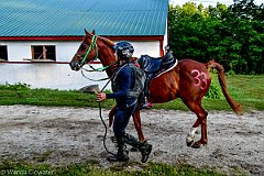 HAM_6693