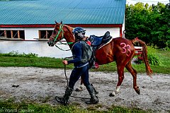 HAM_6694
