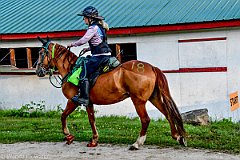 HAM_6699