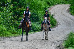 HAM_6709