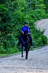 HAM_6719