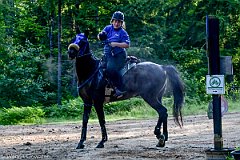 HAM_6726