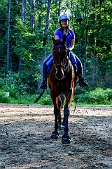 HAM_6780