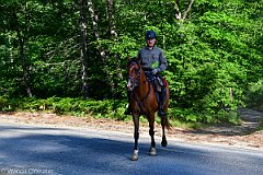 HAM_6828
