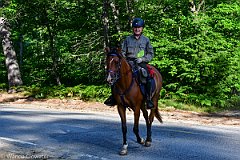 HAM_6829