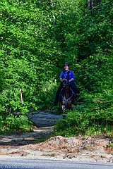 HAM_6830