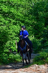 HAM_6833