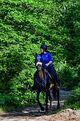 HAM_6834