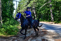 HAM_6842