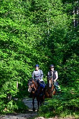 HAM_6844