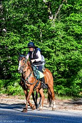 HAM_6849