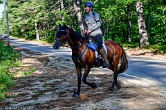 HAM_6852
