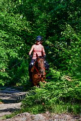 HAM_6890