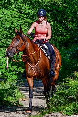 HAM_6892