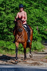 HAM_6894