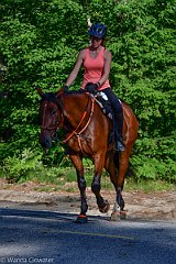 HAM_6897