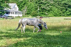HAM_6907