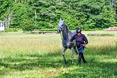 HAM_6919