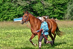 HAM_6926