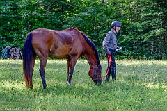 HAM_6942