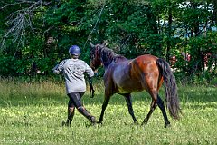 HAM_6946