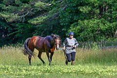 HAM_6947