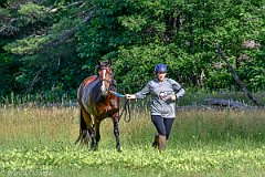 HAM_6948