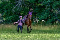 HAM_6958