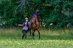HAM_6959