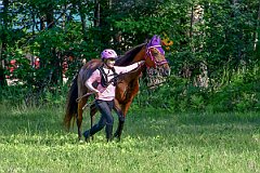 HAM_6962