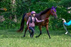 HAM_6964