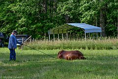 HAM_6982