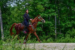 HAM_7055