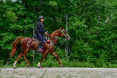 HAM_7057