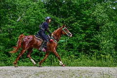 HAM_7060
