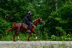 HAM_7062