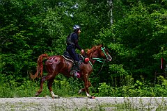 HAM_7063