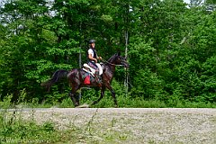 HAM_7066