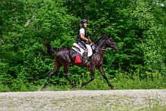 HAM_7070