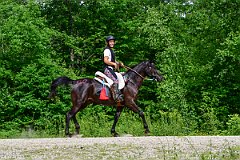HAM_7071