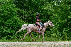 HAM_7077
