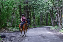 HAM_7097