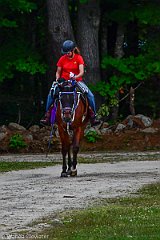 HAM_7154