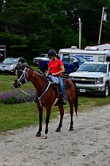 HAM_7158