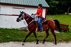 HAM_7164
