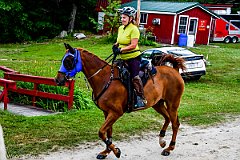 HAM_7168