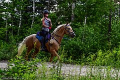 HAM_7181