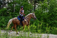 HAM_7182